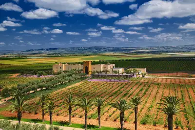 Luxury boutique hotel winery architecture and gardens