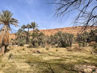 River flowing through Ziz Valley oasis