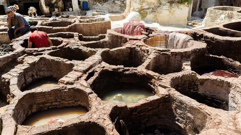 Fes cortumes