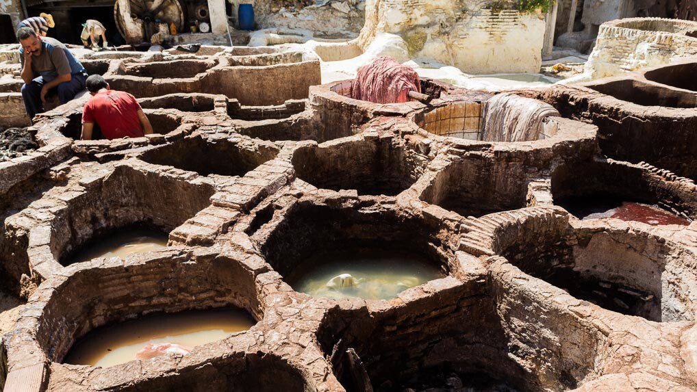 Fes cortumes