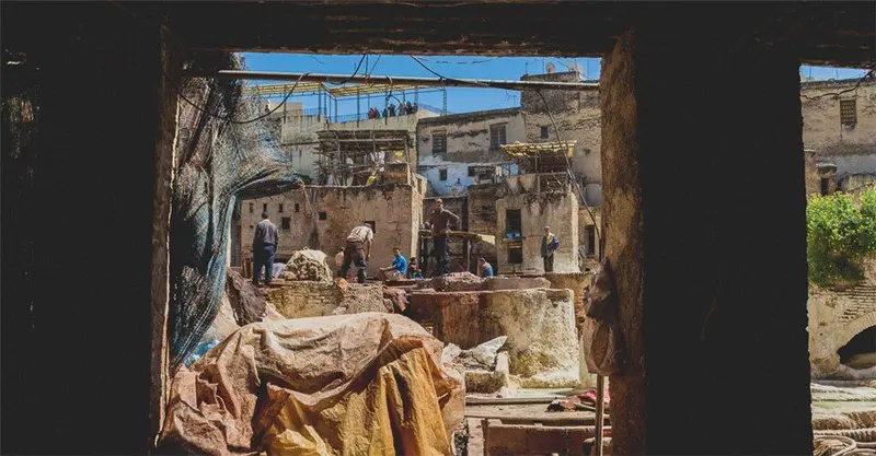 Fes cortumes