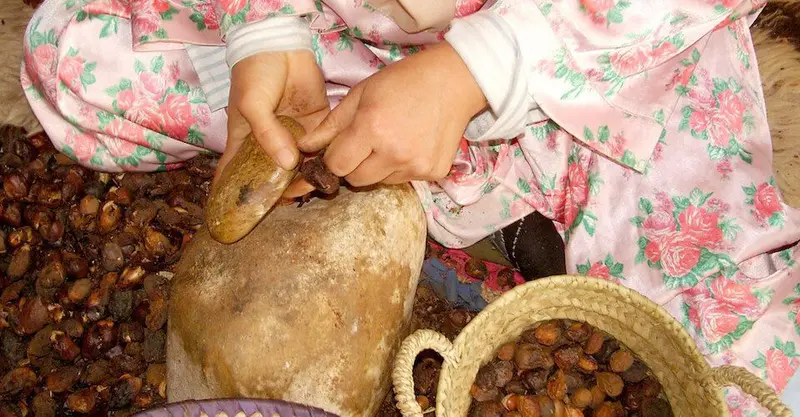 Argan nuts and oil bottles beside argan trees in southwest Morocco