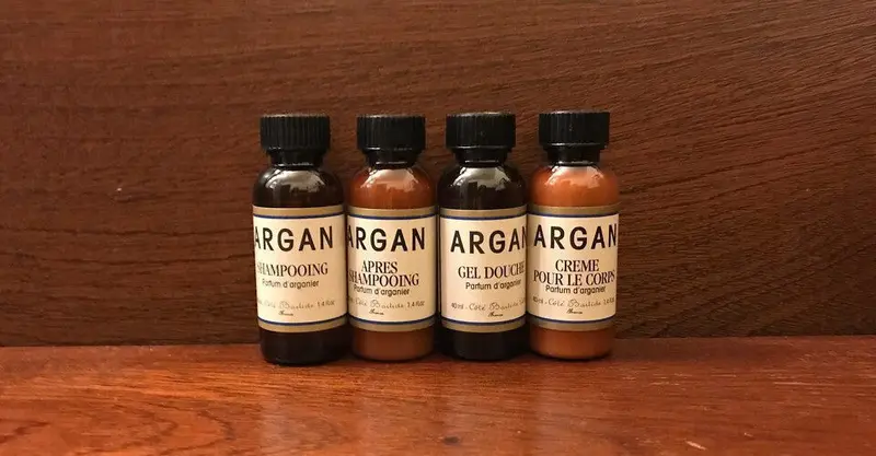 Argan nuts and oil bottles beside argan trees in southwest Morocco
