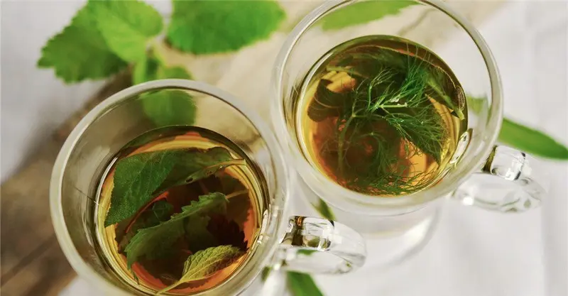Tea glass food herb