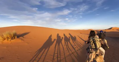 Travellers riding camels across orange Sahara dunes, long shadows stretching at golden hour