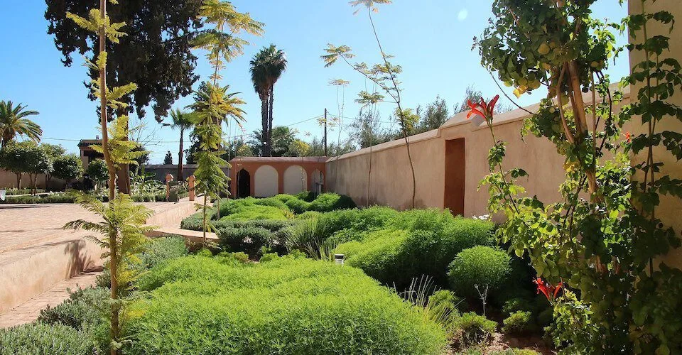 Lush garden paths and fountains in a Moroccan palace garden