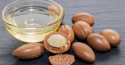 Argan nuts and oil bottles beside argan trees in southwest Morocco