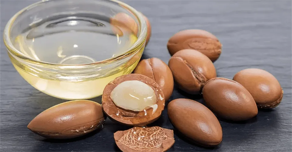 Argan nuts and oil bottles beside argan trees in southwest Morocco