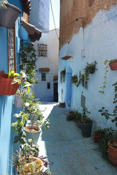 Blue-washed alleyways and stairways in the Chefchaouen medina