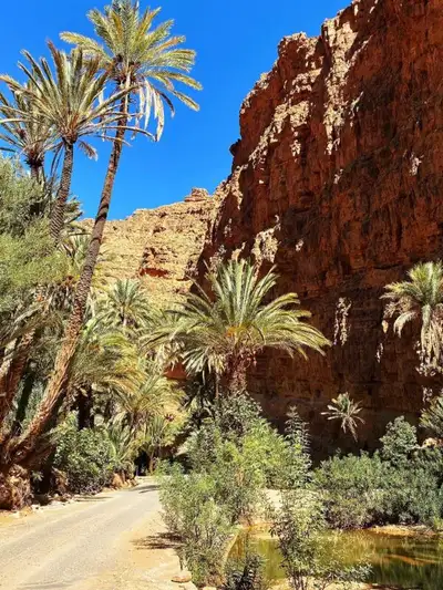 Palm-lined track running between the red rock walls of the Ait Mansour gorge