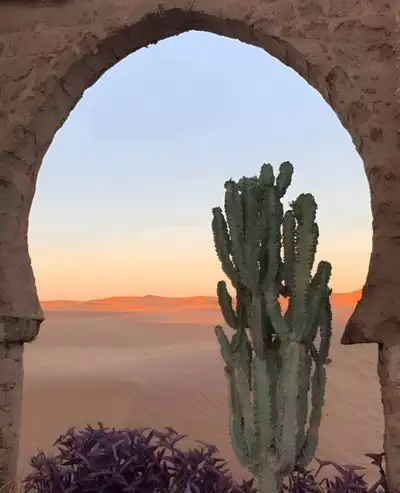 Tall cactus framed by an adobe arch, with Sahara dunes glowing pink at sunset beyond
