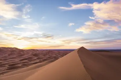 Rippled Sahara dunes glowing gold under a pink sunset sky