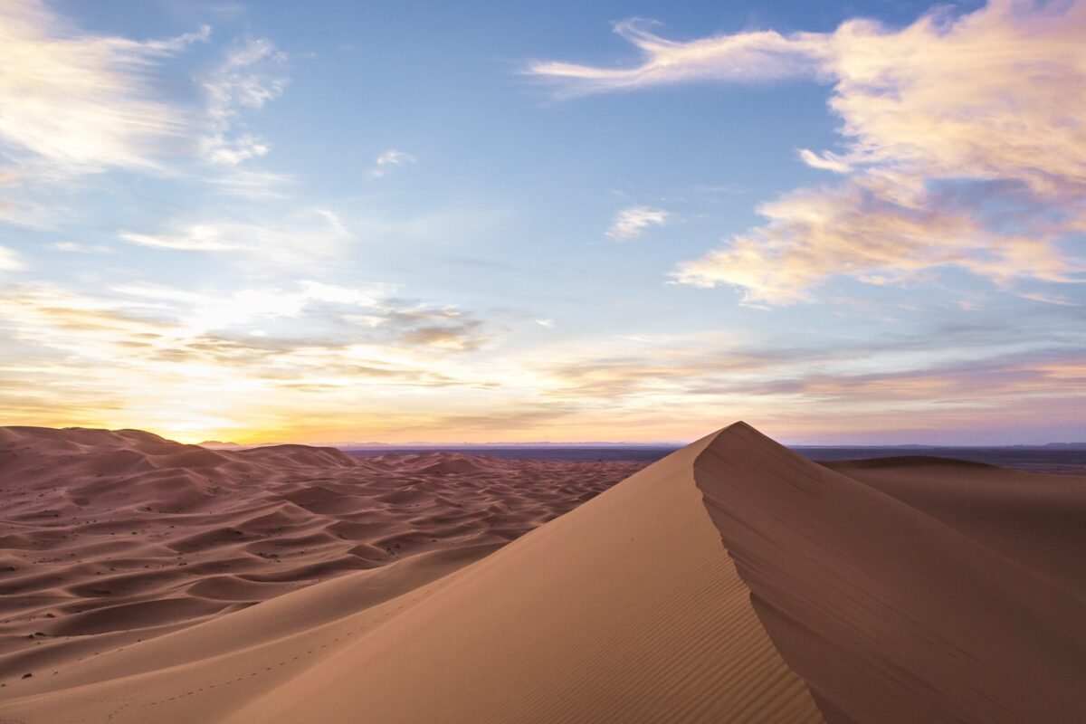 Rippled Sahara dunes glowing gold under a pink sunset sky