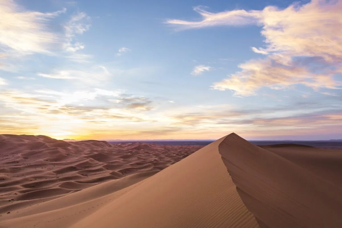 Rippled Sahara dunes glowing gold under a pink sunset sky