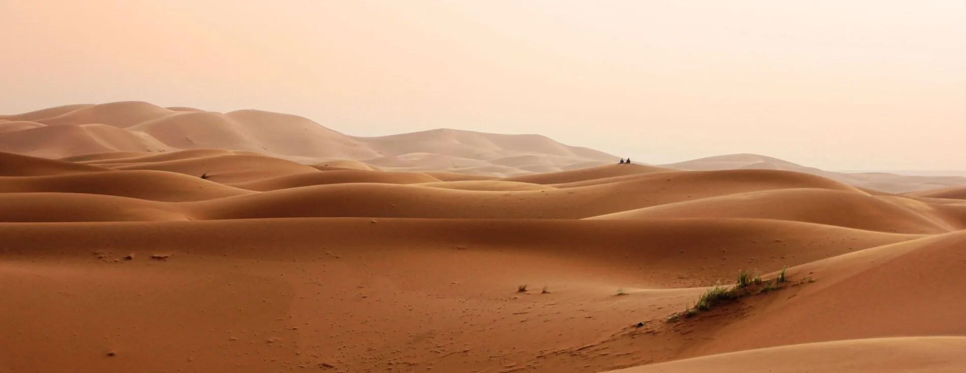 Vast reddish Sahara dunes under a soft orange sky with tiny figures on a distant ridge