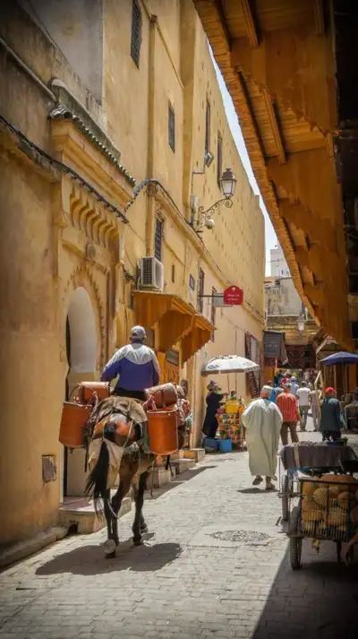 Man riding a mule loaded with gas canisters through a narrow ochre alley in the Fez medina