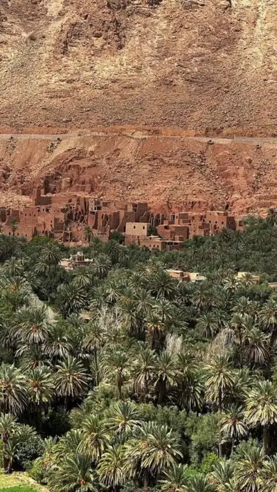 Dense palm grove spreading below an earthen kasbah village built against red cliffs