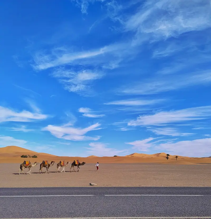 Caravana de camelos atravessando as dunas do Saara à luz do final da tarde