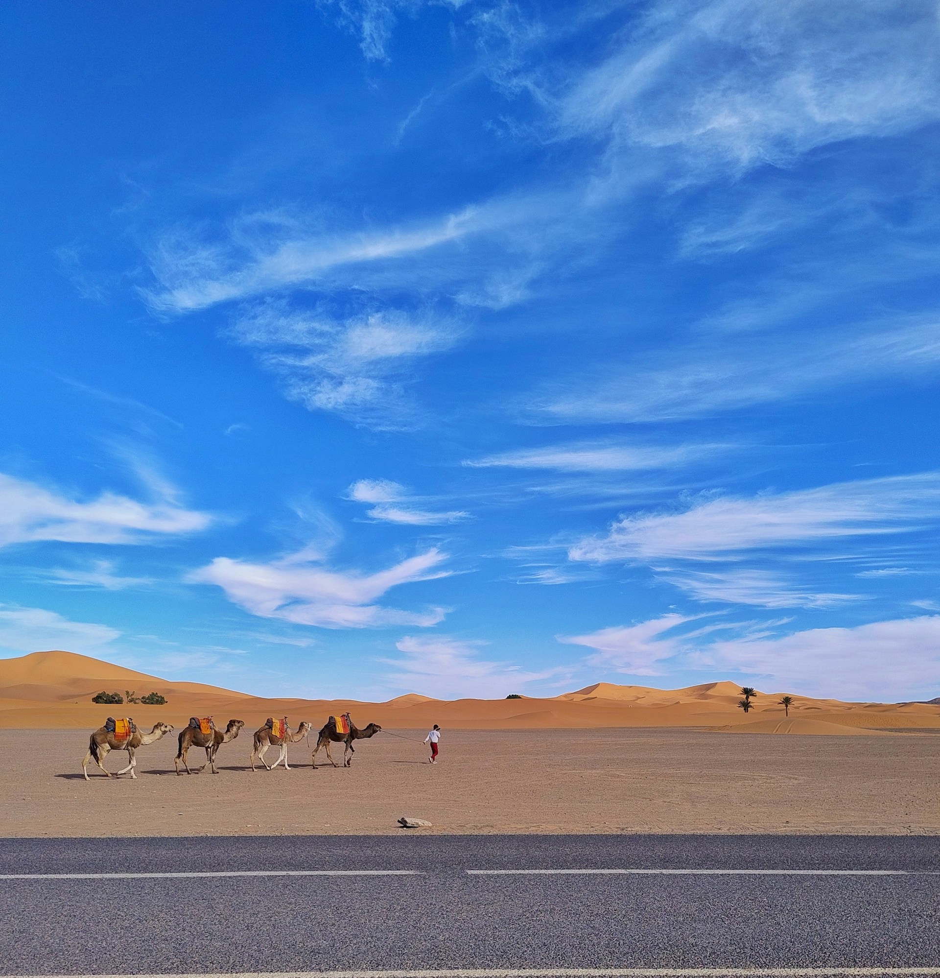 Caravana de camelos atravessando as dunas do Saara à luz do final da tarde