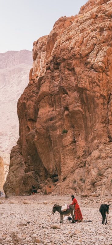 Person in a red robe with two donkeys at the base of towering Todra Gorge cliffs