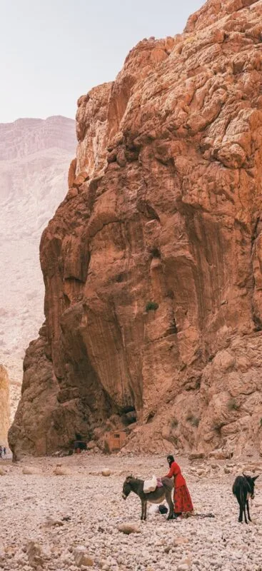 Person in a red robe with two donkeys at the base of towering Todra Gorge cliffs