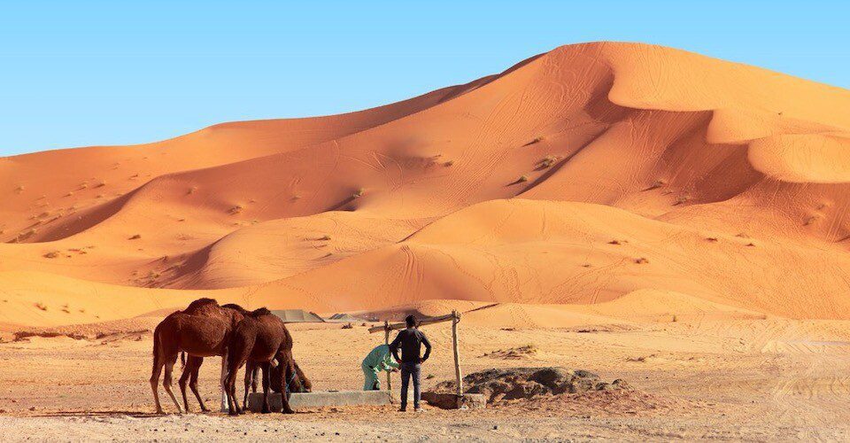 Nomad in sahara desert Nomad in sahara desert