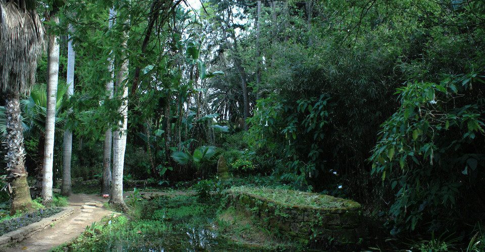 Exotic gardens of Rabat