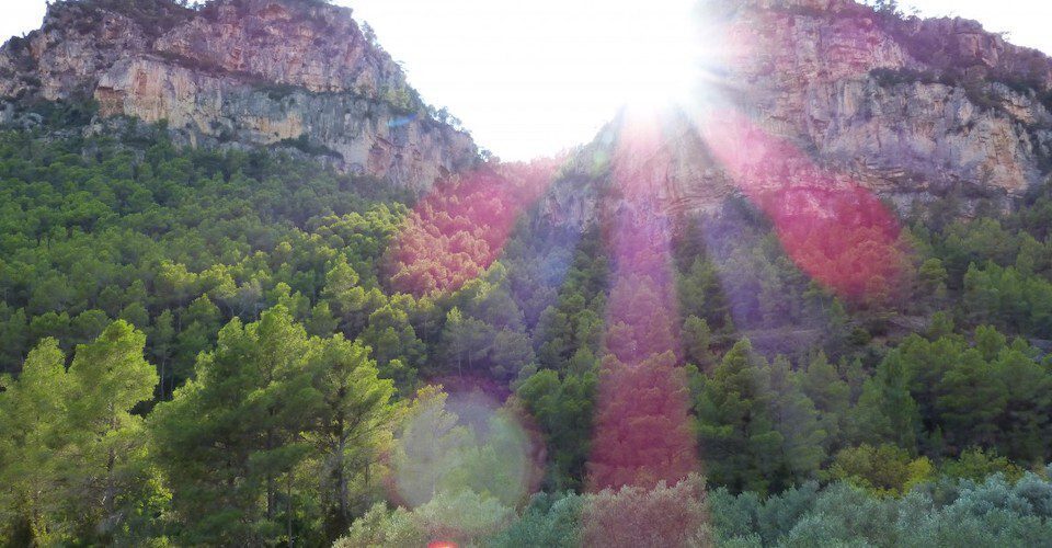 Ouzoud valley surrounded by olive trees