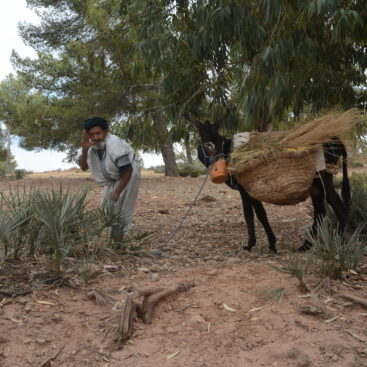 TOUR MARROCOS