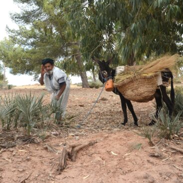 Walking Tours Marrocos